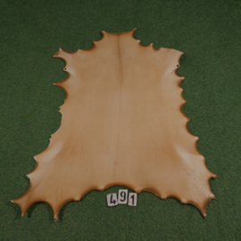 Reindeer rawhide (0.96 m²)