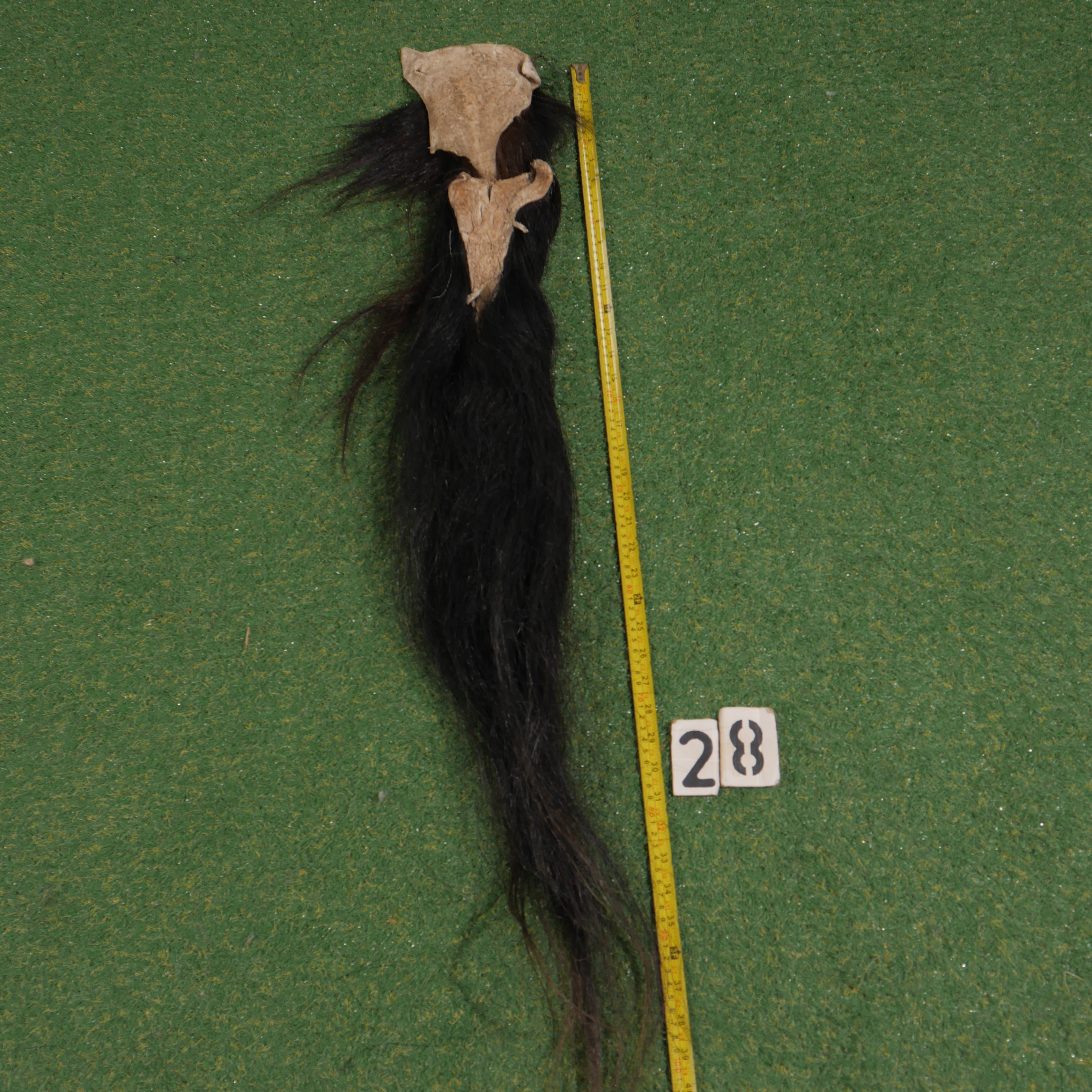 Paardenstaart (100 cm)