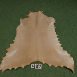 Perkament van rendier ( 1.17  m²)
