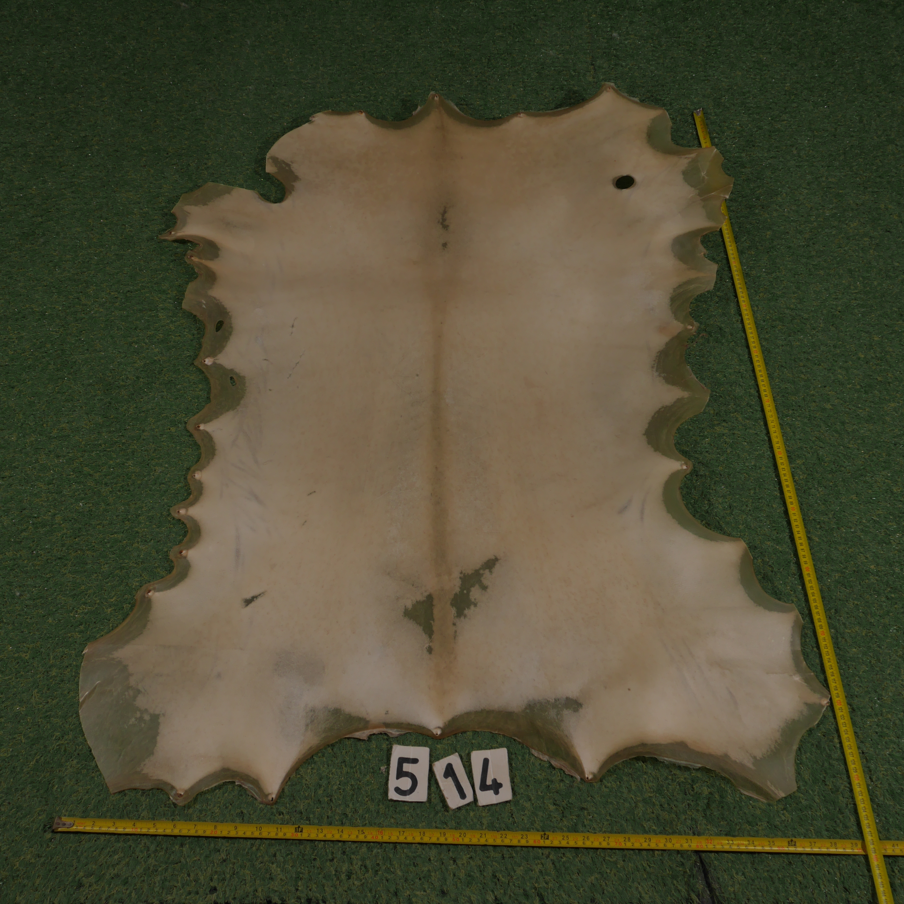 Perkament van geit (1.00 m²)