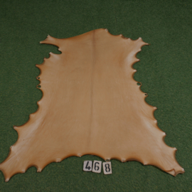 Reindeer rawhide (0.95 m²)