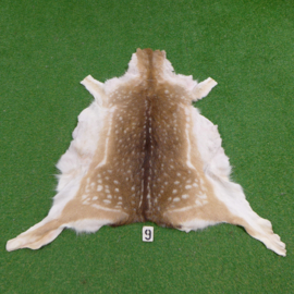Fallow deer skin (120 x 120) summer coat