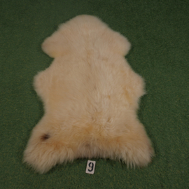 White sheepskin (120 x 70)