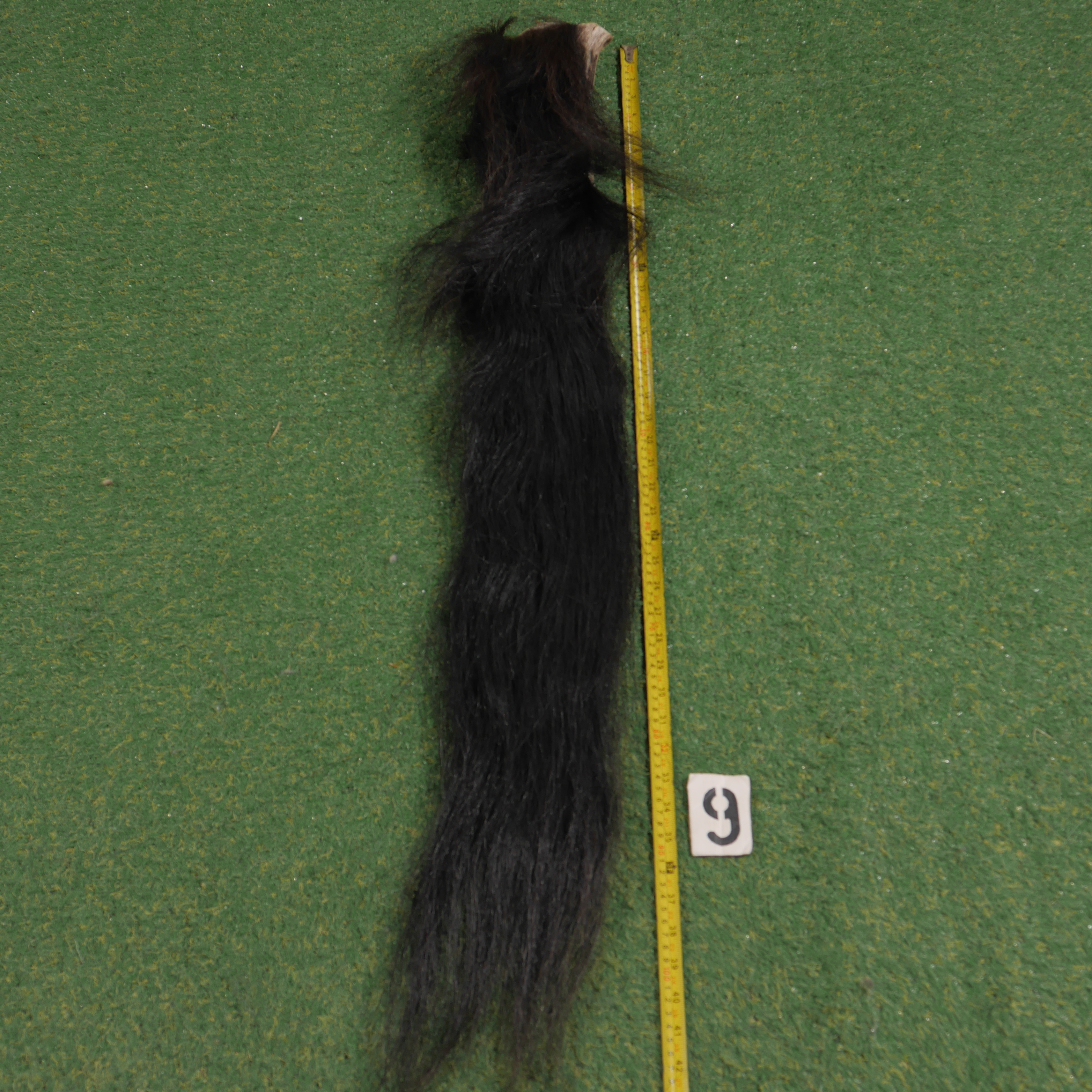 Paardenstaart (110 cm)