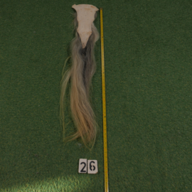 Paardenstaart (110 cm)