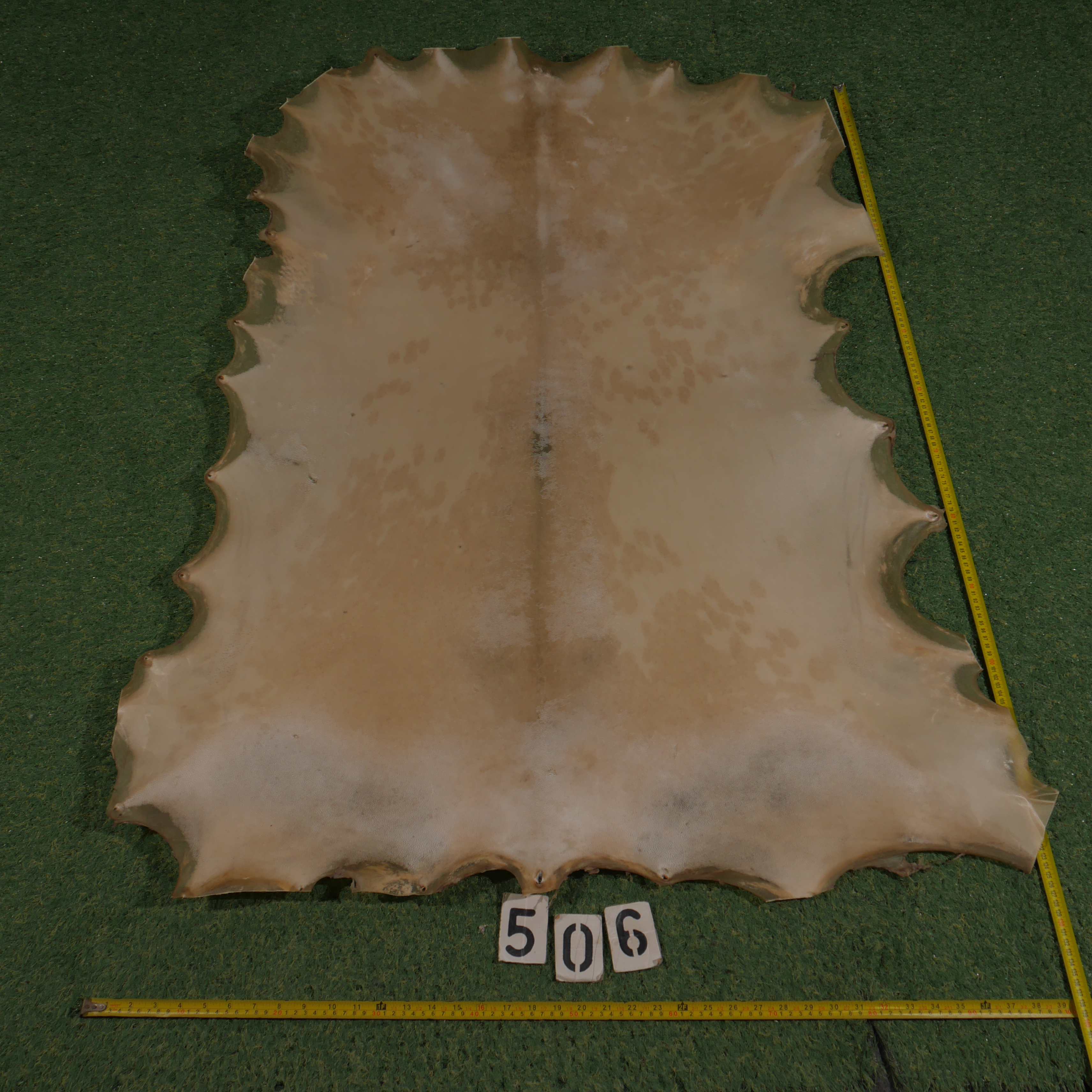 Perkament van geit (1.00 m²)