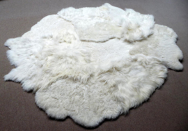 Tailor-made sheep rugs