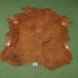 Scottish Highlander hide (160 x 160)