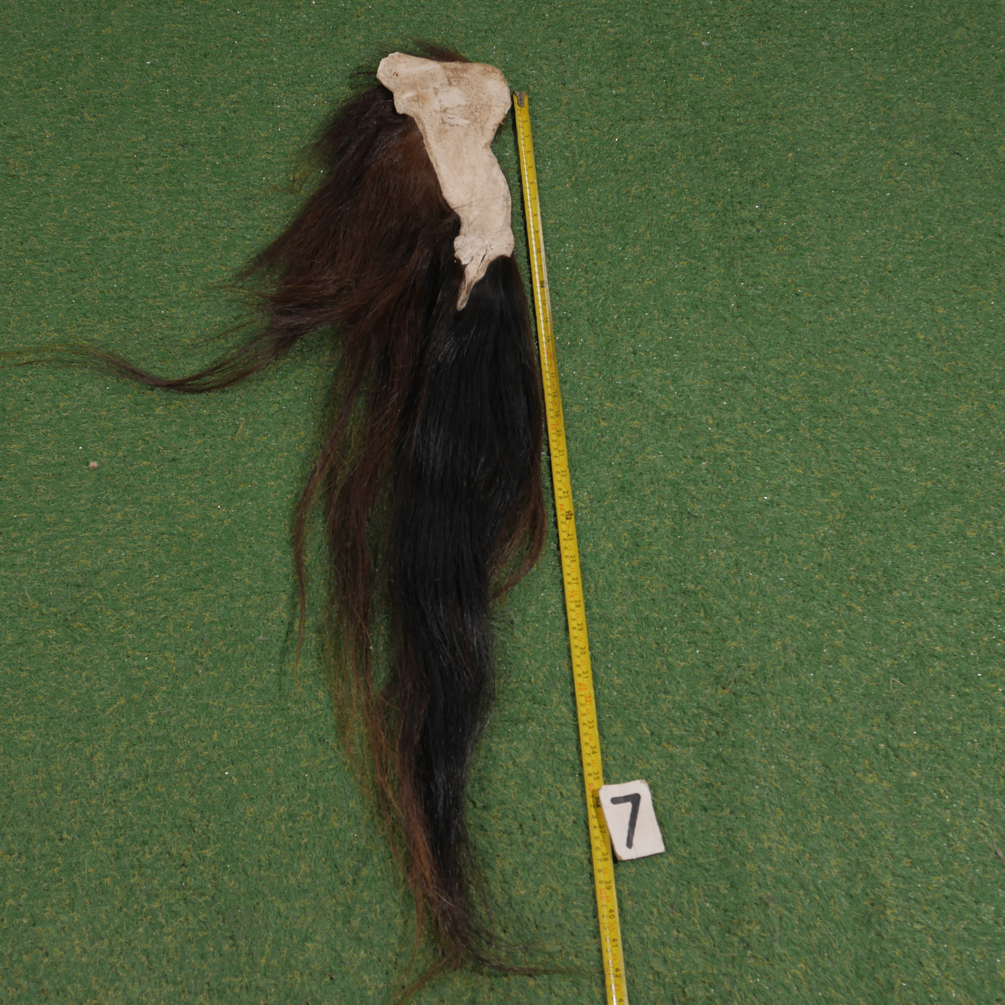 Paardenstaart (110 cm)