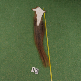 Horse tail (120 cm)