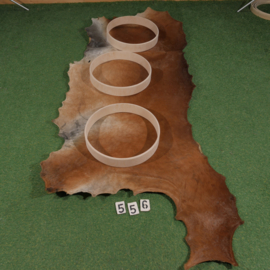 Horse parchment with hair