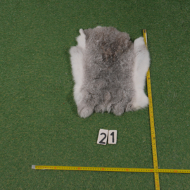 Grey-white rabbit skin