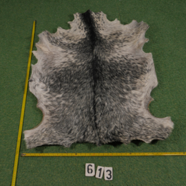 Goat parchment ( ±1.10 m²) with hair