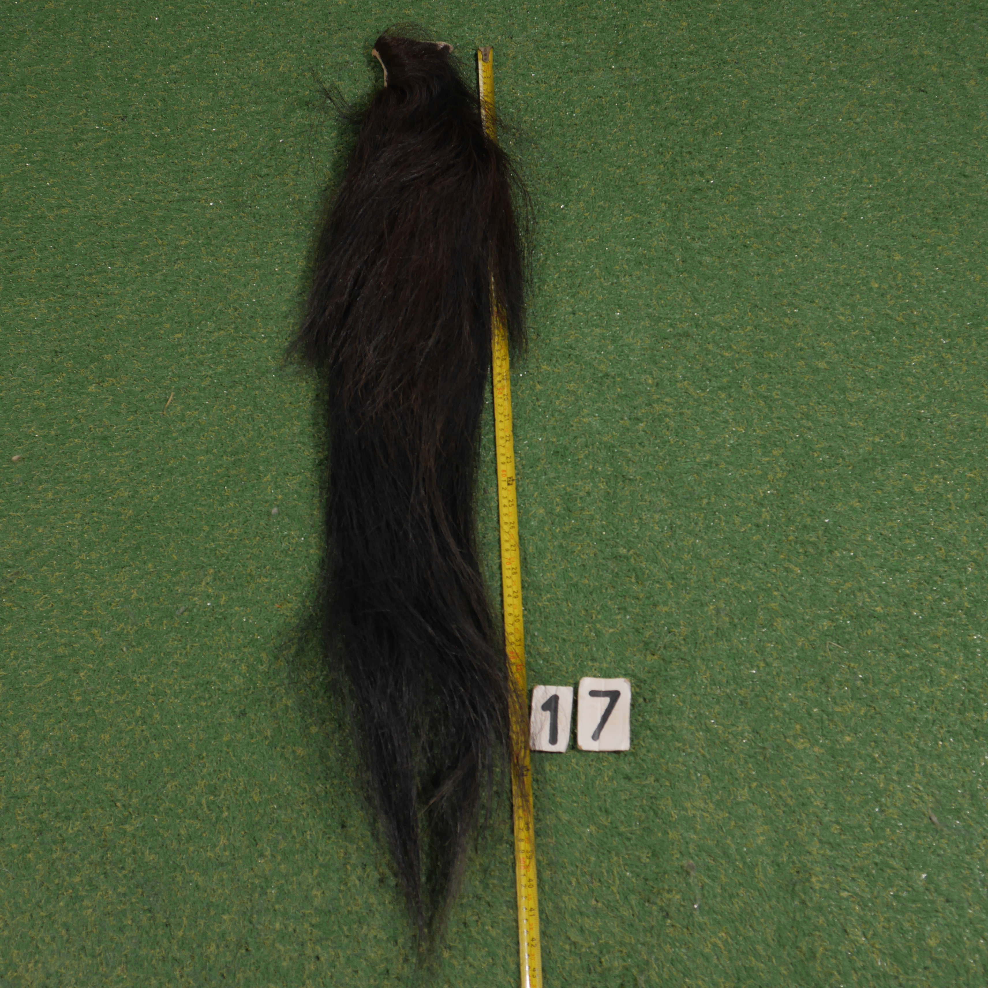 Paardenstaart (110 cm)