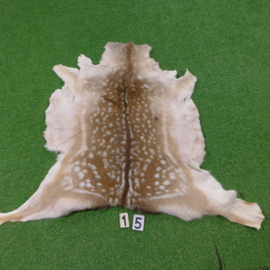 Fallow deer skin (110 x 110) winter coat