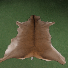 Red deer skin (150 x 150)