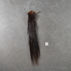 Paardenstaart (125 cm)