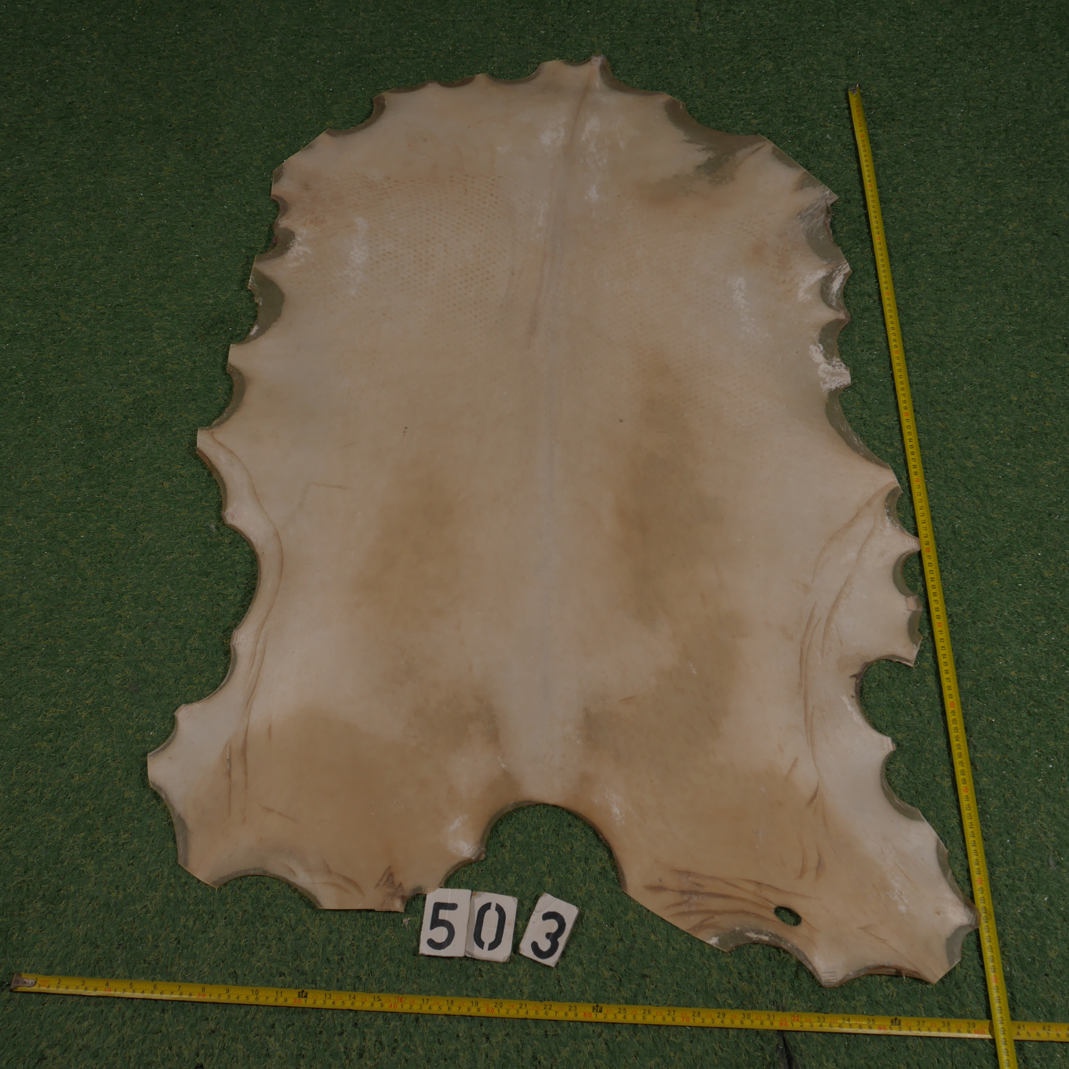 Perkament van geit (1.00 m²)