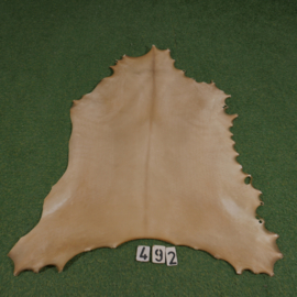 Perkament van rendier ( 0.99  m²)