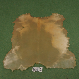 Wild boar rawhide (1.01 m²)