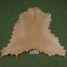 Perkament van rendier ( 1.17  m²)