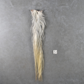 Paardenstaart (135 cm)