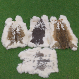 Gevlekte konijnenvachten (40-45 cm)
