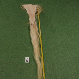Paardenstaart (1.30 cm)