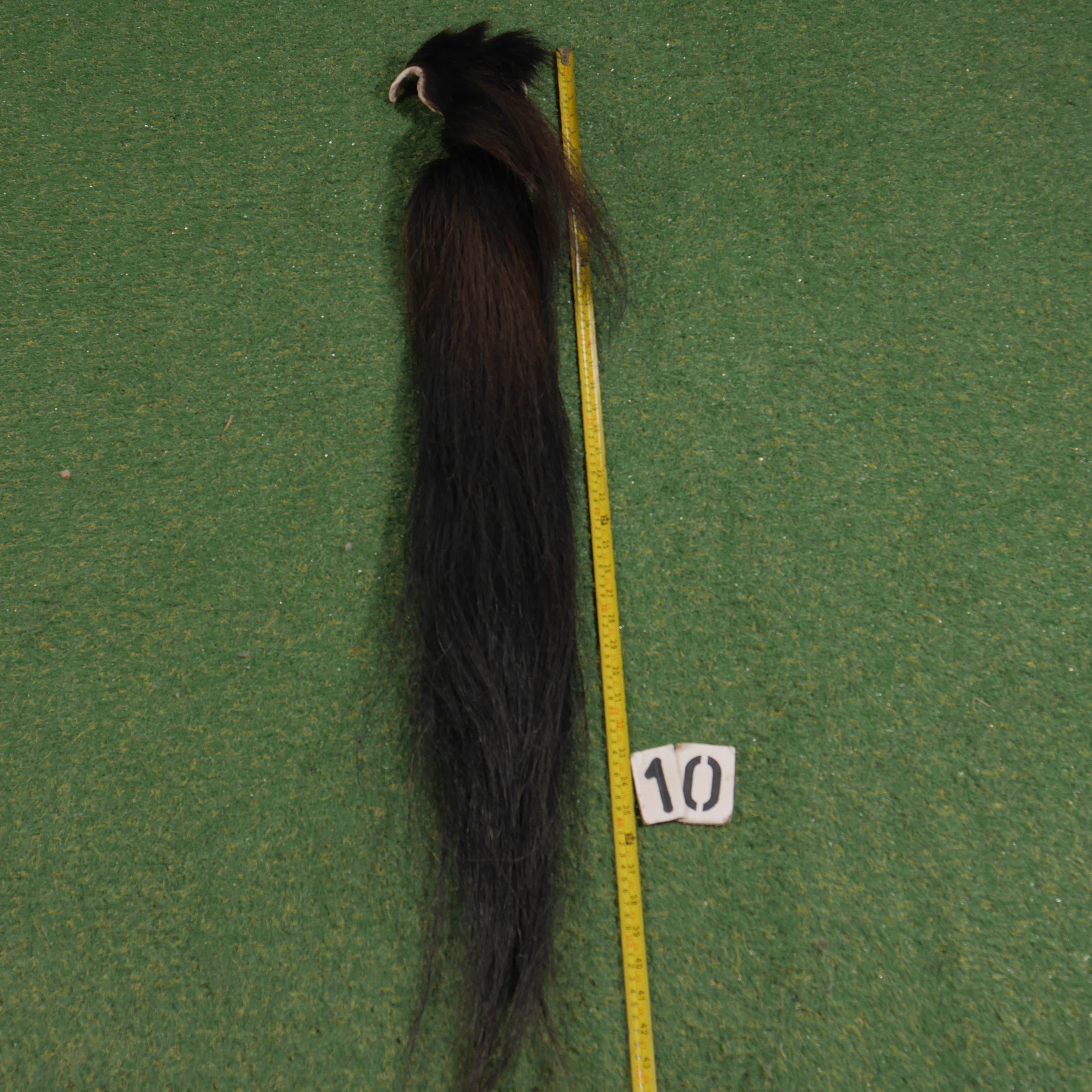 Paardenstaart (110 cm)