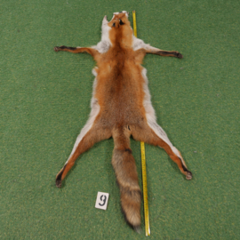 Red fox fur (130 cm) open