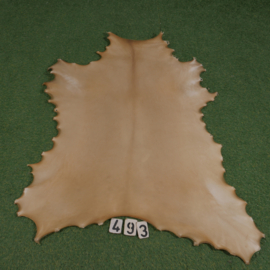 Perkament van rendier ( 1.06  m²)