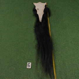 Paardenstaart (1.30 cm)