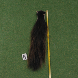 Cow tail (70 cm)