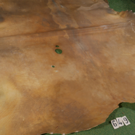 Bison rawhide (4.33 m²)
