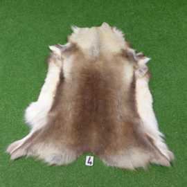 Reindeer skin (130 x 100)