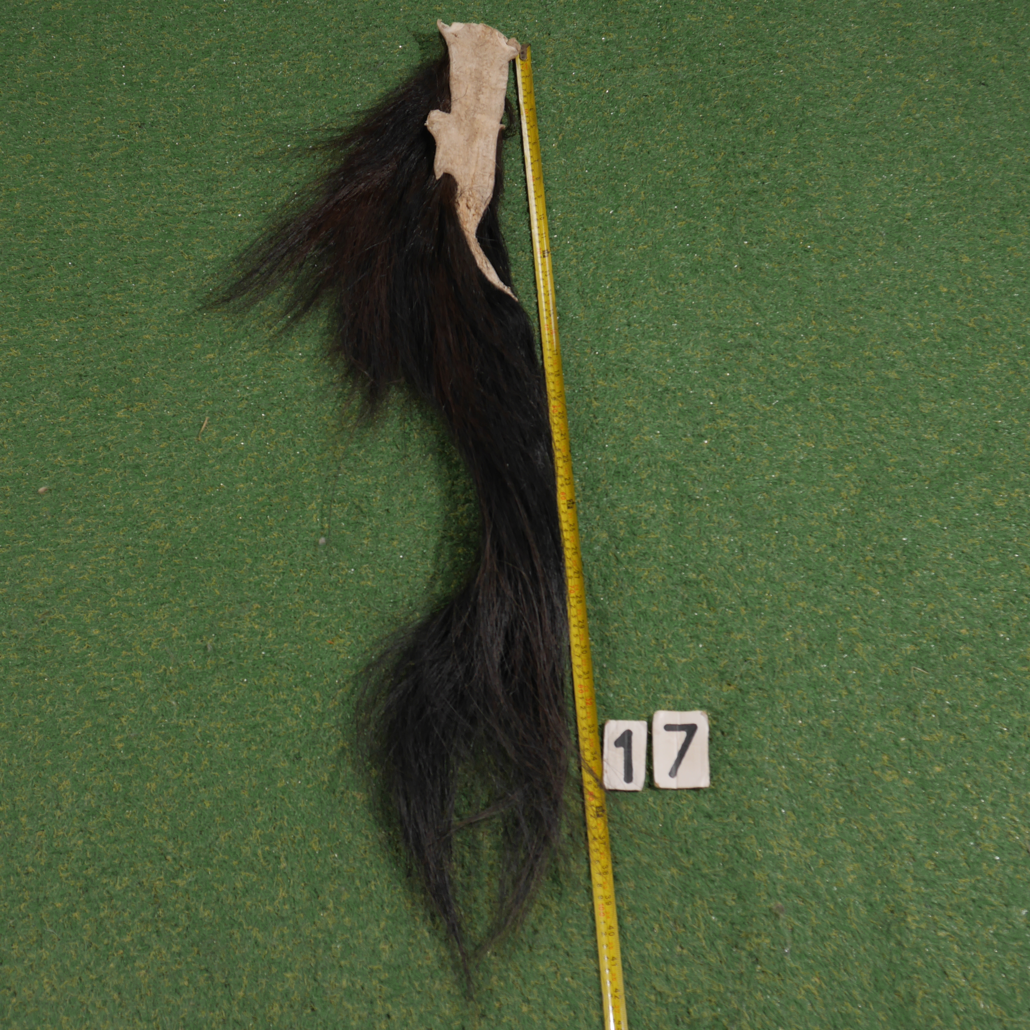 Paardenstaart (110 cm)