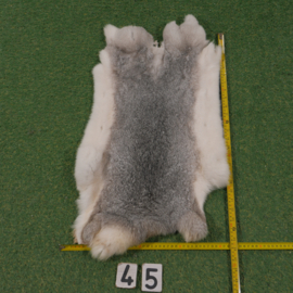 Grey-white rabbit skin