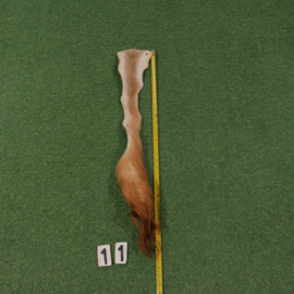 Cow tail (80 cm)