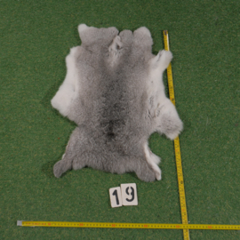 Grey-white rabbit skin