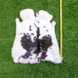 Gevlekte konijnenvachten (40-45 cm)