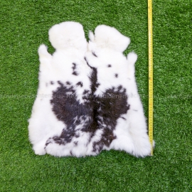 Spotted rabbit skin (40-45 cm)