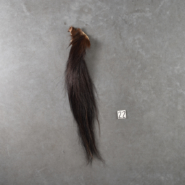 Paardenstaart (110 cm)