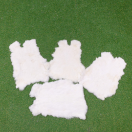 Witte konijnenvachten (40-45 cm)