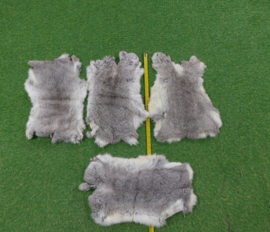 Grey rabbit skin (45-50 cm)