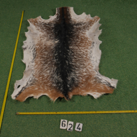 Perkament van geit met haar (ongeveer 1.10 m²)