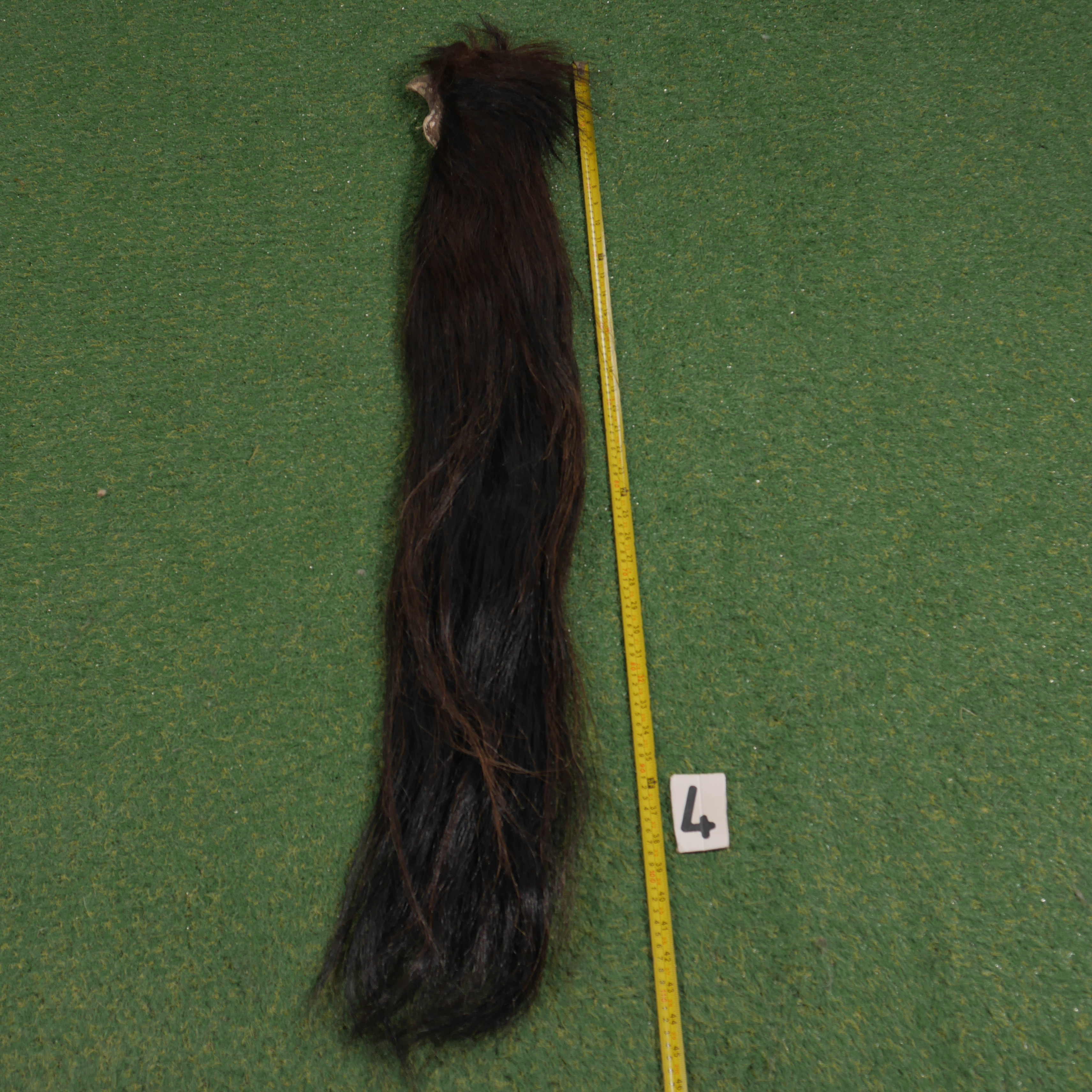 Paardenstaart (110 cm)