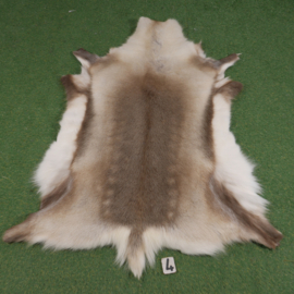 Rendierhuid (140 x 100)
