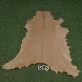 Perkament van rendier ( 1.04  m²)
