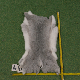 Grey-white rabbit skin