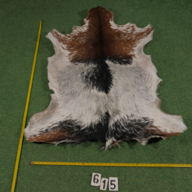 Goat parchment ( ±1.10 m²) with hair